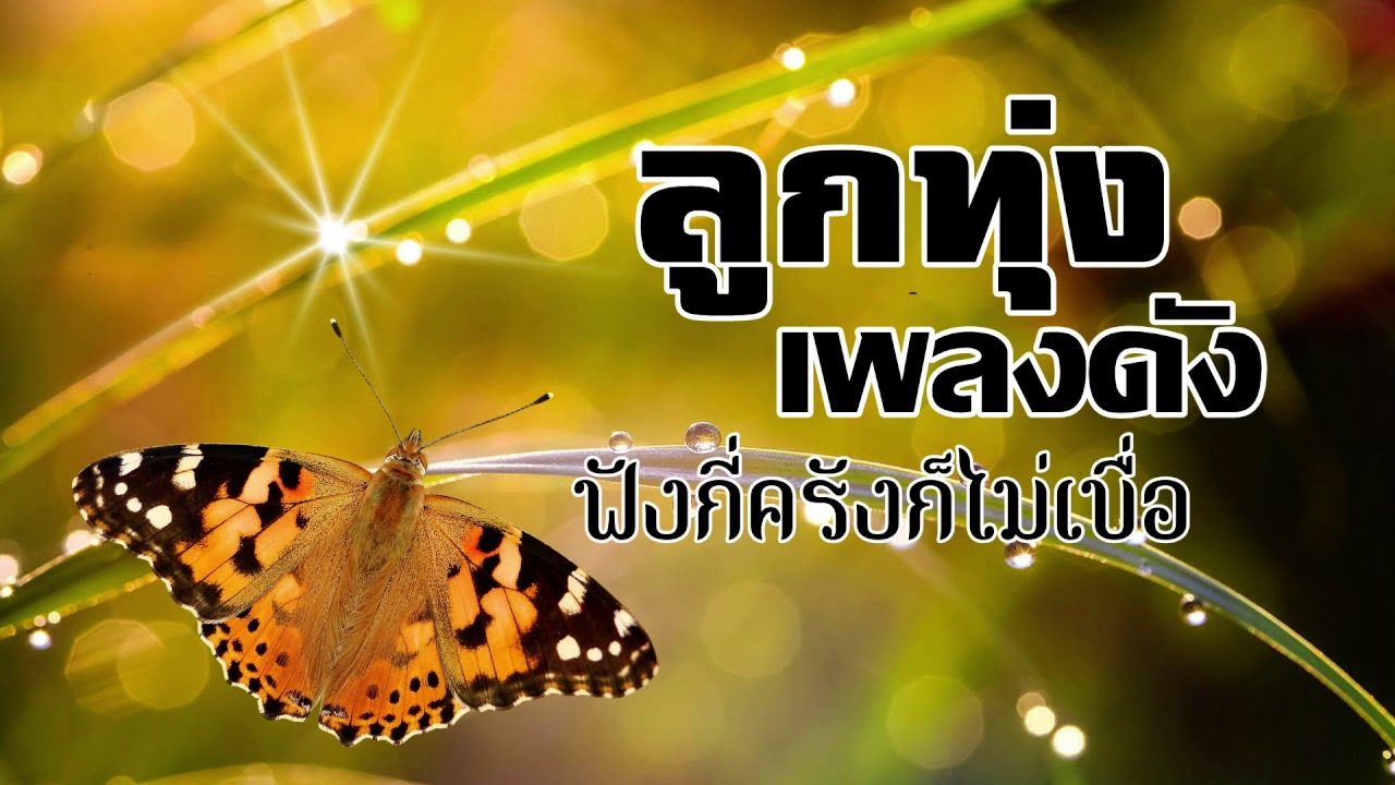 ลูกทุ่งเพลงดังฟังกี่ครั้งก็ไม่เบื่อ
