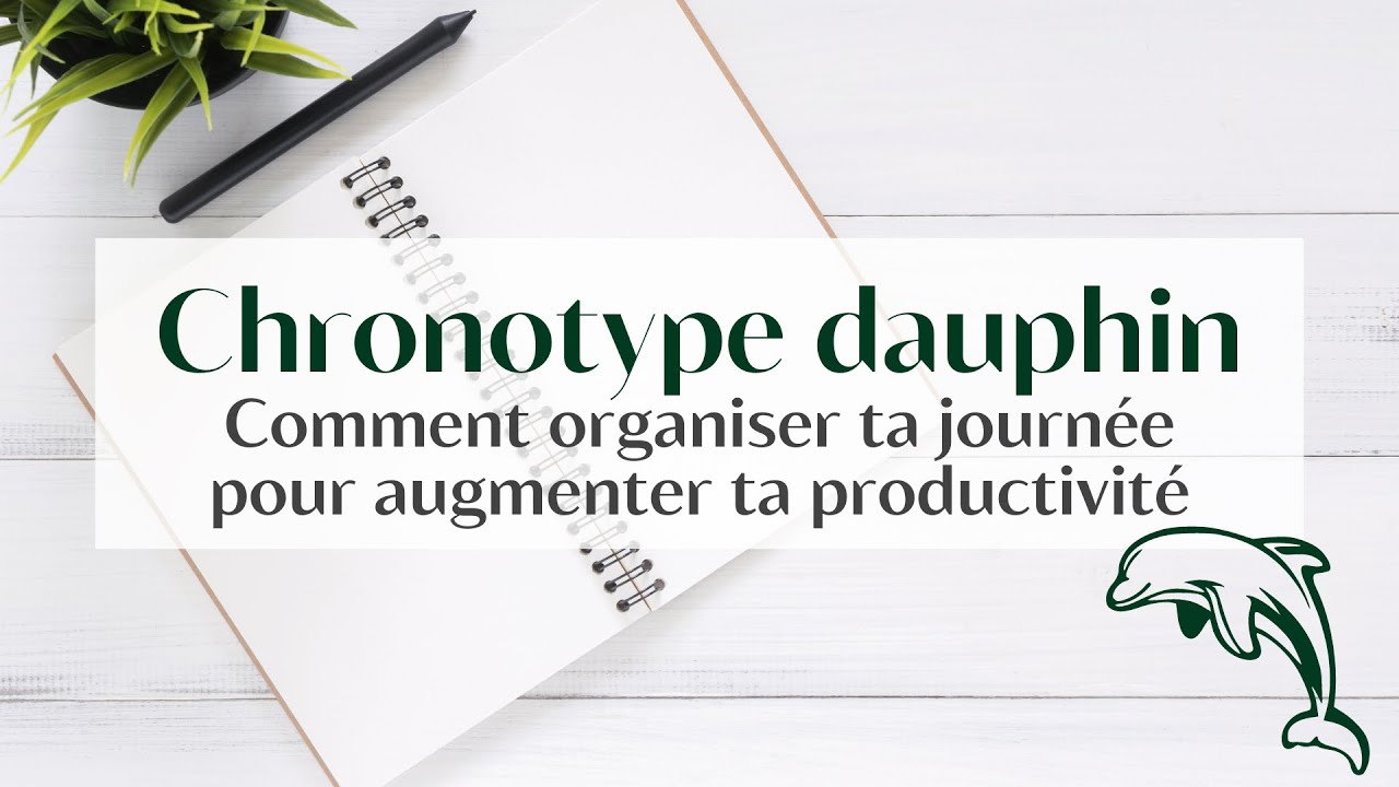 🐬 Chronotype DAUPHIN : mieux te connaitre pour BOOSTER ta PRODUCTIVITÉ ⚡️