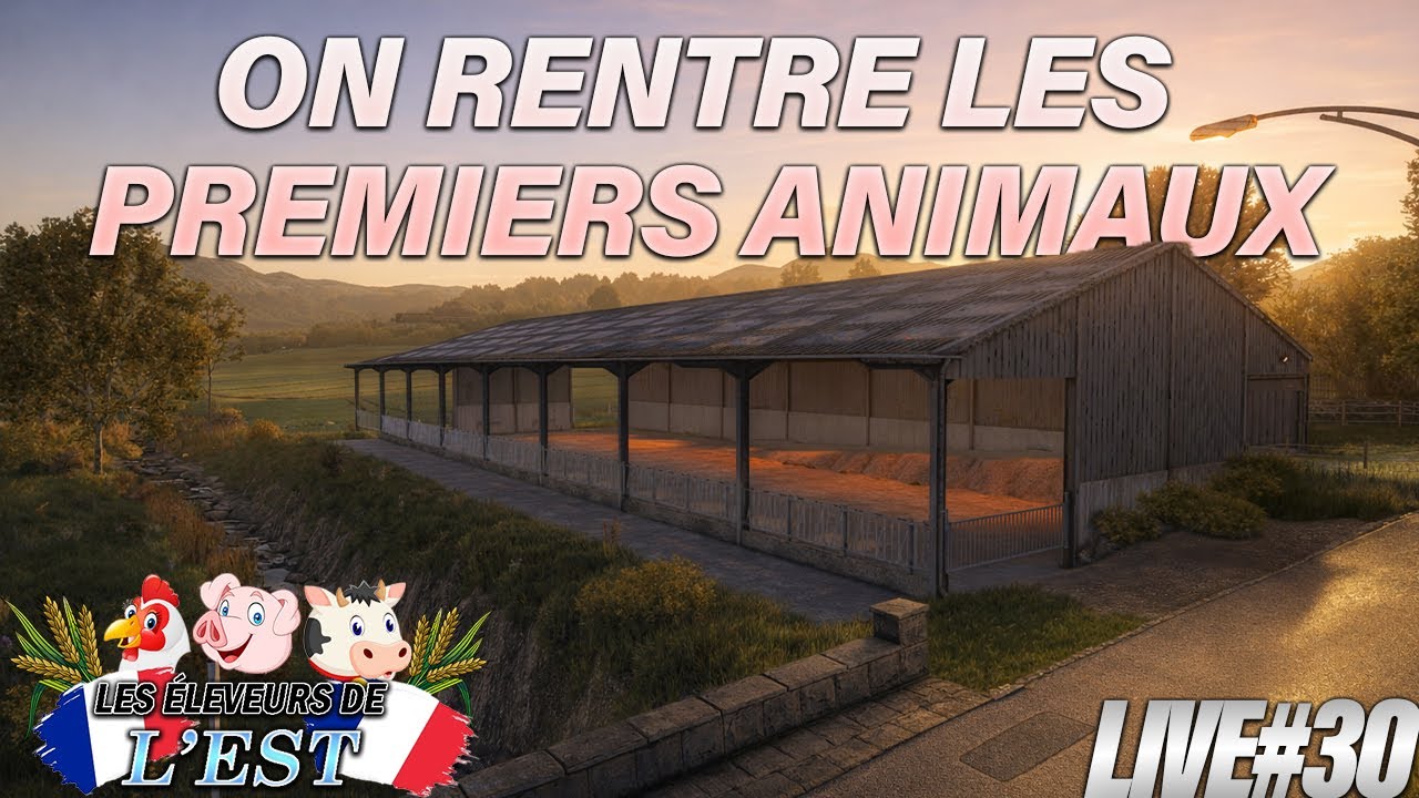🔴LIVE LES ELEVEURS DE L'EST #30 -🐄On rentre les premiers Animaux dans notre nouvelles stabul' #fs25
