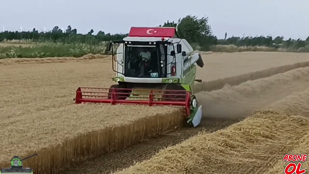 bilen bilmeyen herkes biçer alırsa ne olur?