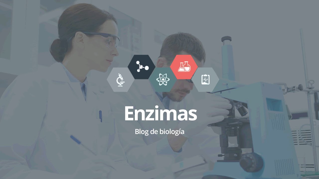 Enzimas