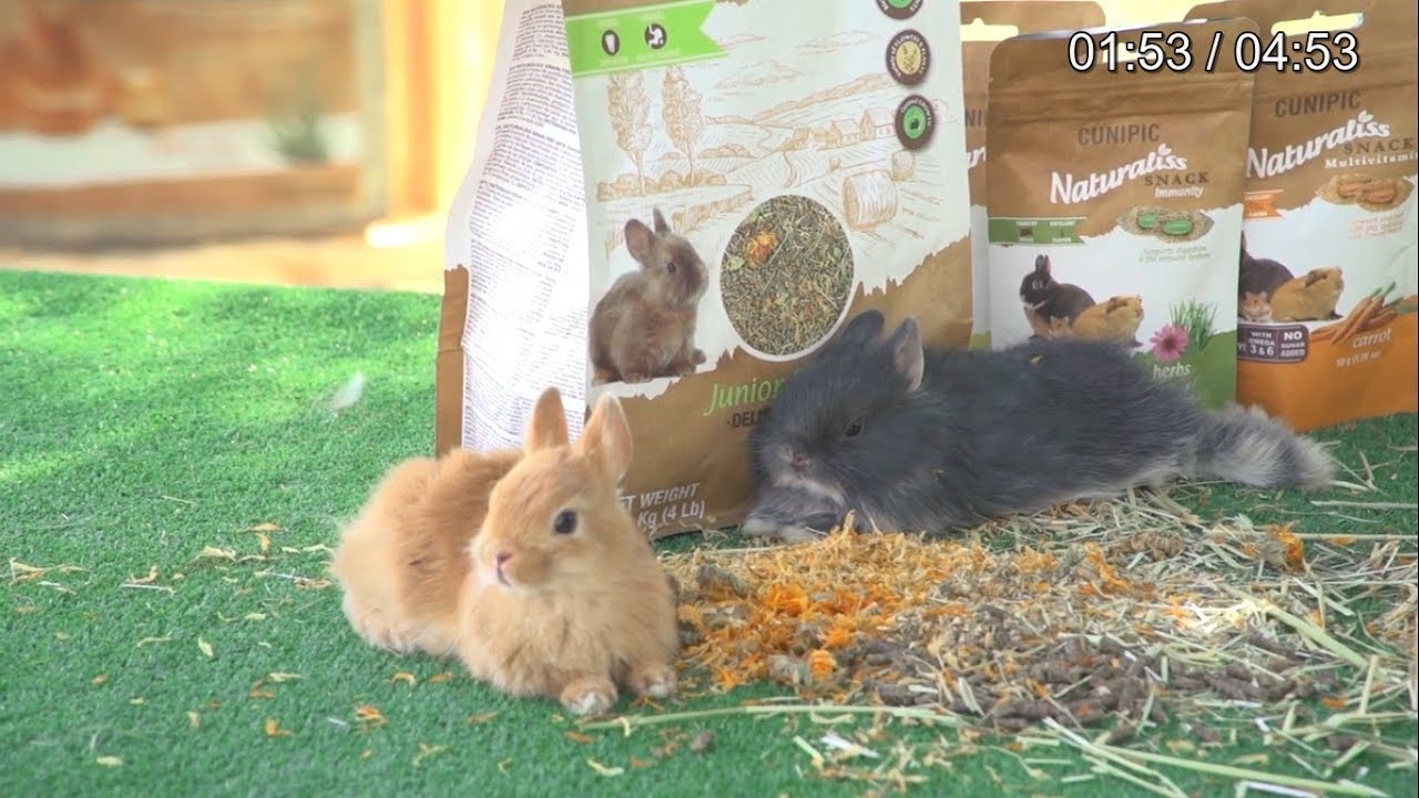 NATURALISS &ndash; Naturalna karma dla kr&oacute;lika młodego i dorosłego