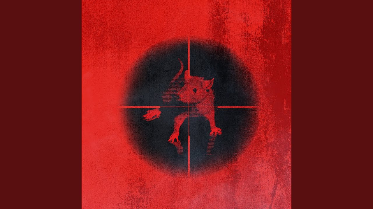 Killing The Rats