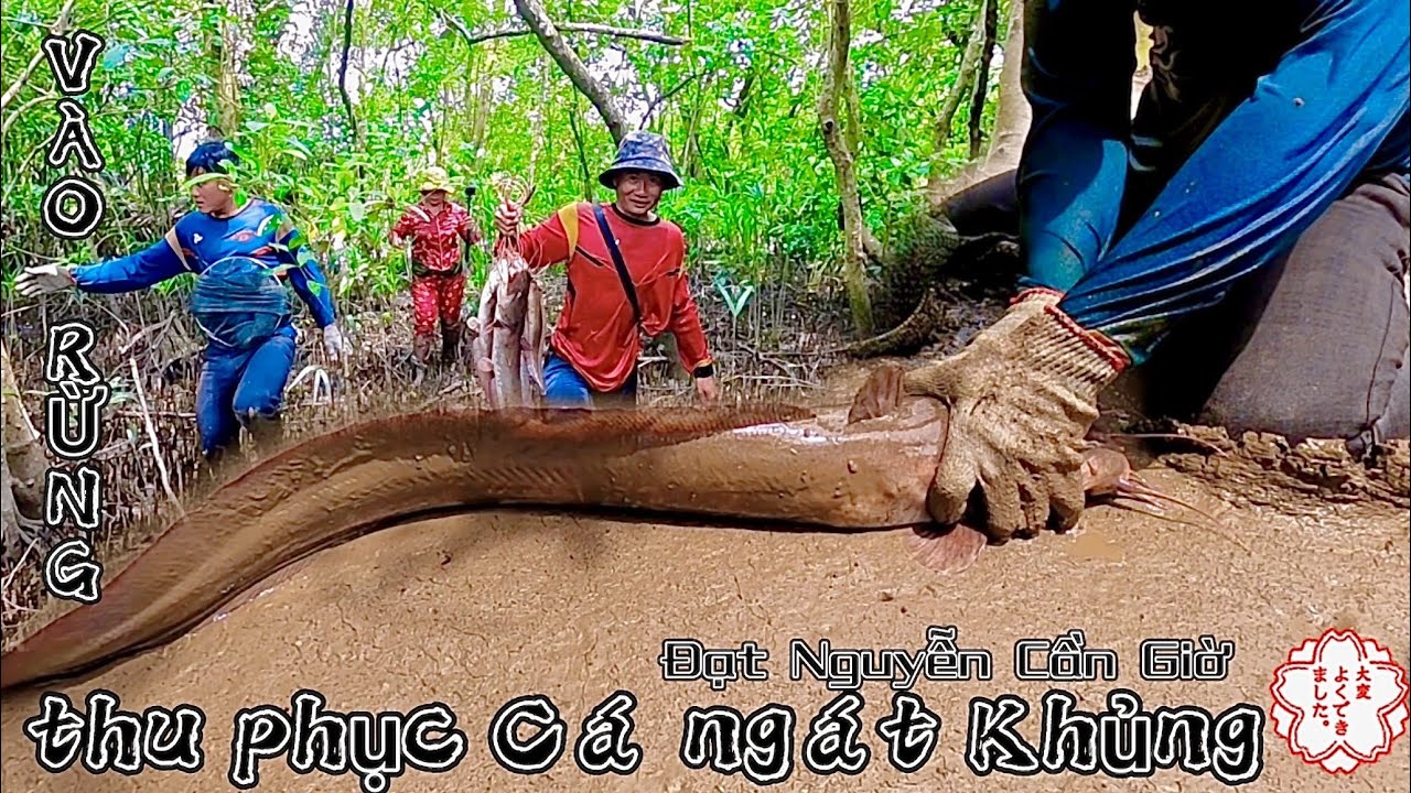 M&ograve; C&aacute; Ng&aacute;t Bằng Tay Kh&ocirc;ng Hốt Được Con C&aacute; Biết N&oacute;i Lu&ocirc;n /Đạt Nguyễn Cần Giờ