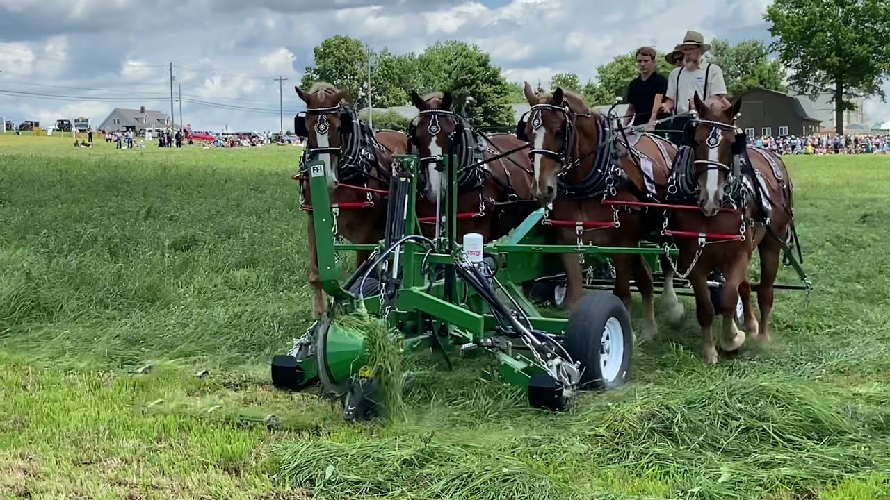 Horse Progress Days 2021 hay demo with 24&rsquo; cycle bar mower part 1 of 2 on the mower