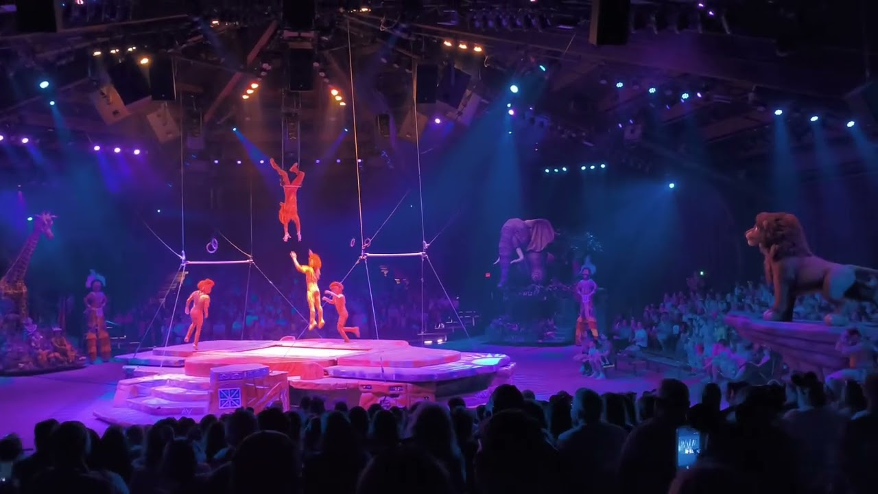 Festival of the Lion King - Animal Kingdom - February 28, 2026 - 1/2