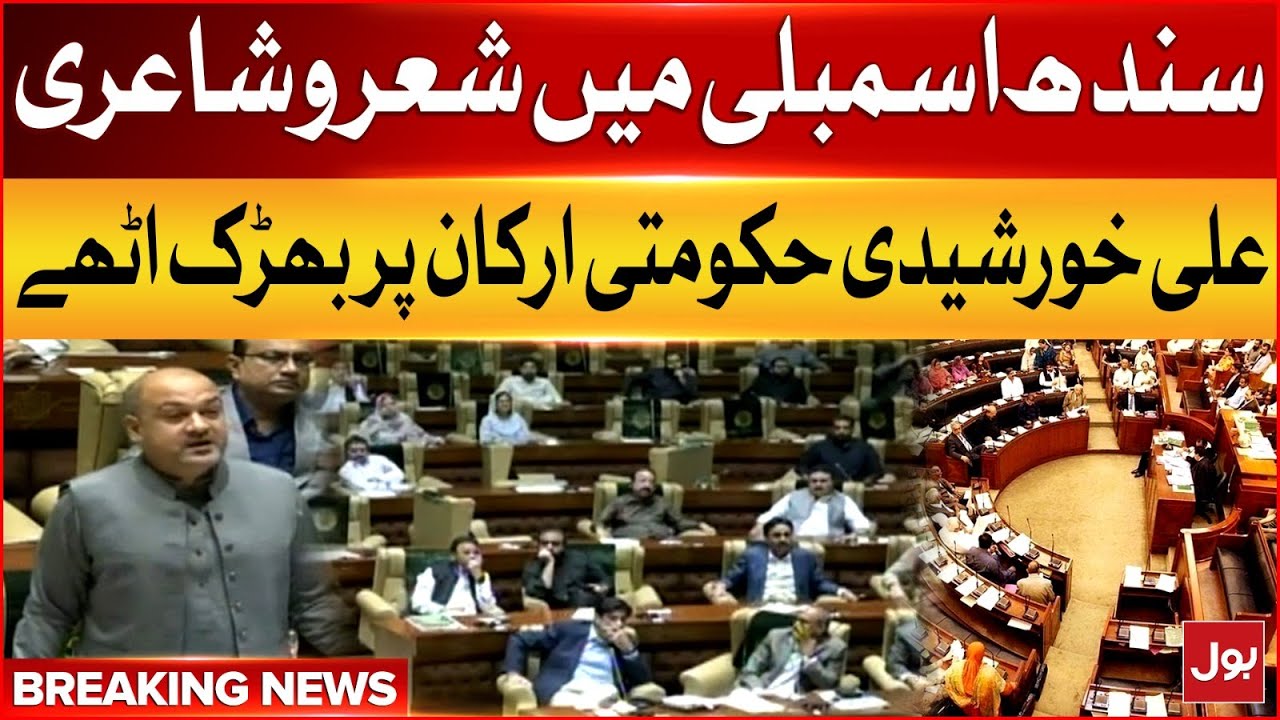 Ali Khursheedi Furious On Government Members | Sindh Assembly Session | Breaking News