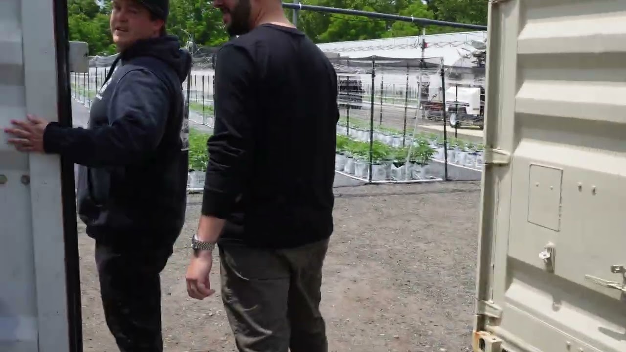 NJ Cannabis Grower Brutes Roots Visit! #flower #gardening #farmers #cannabiseducation #livestream