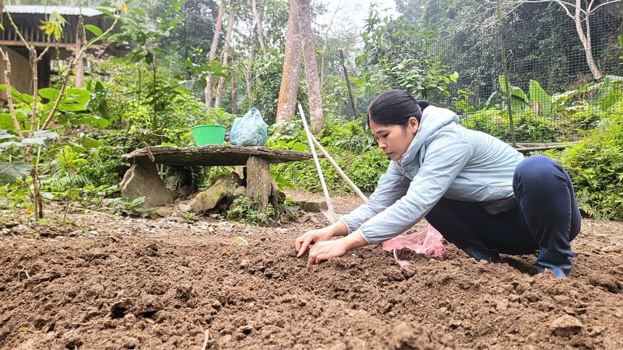 Growing My Own Food | A Quiet Morning on My Small Farm