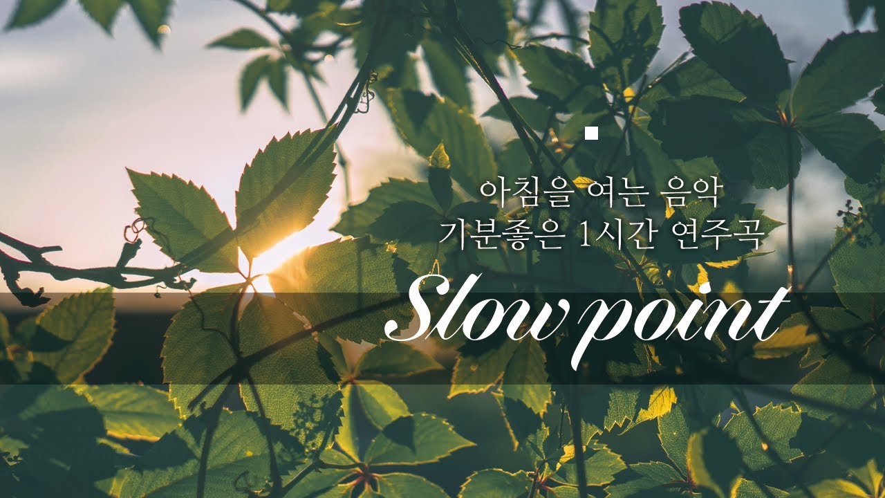 Slowpoint_기분 좋은 아침을 여는 음악 _ 1시간 연주곡 _ 요가 _ 명상 _ 아침 노동요 _ 슬로우포인트 _ 백색소음 _