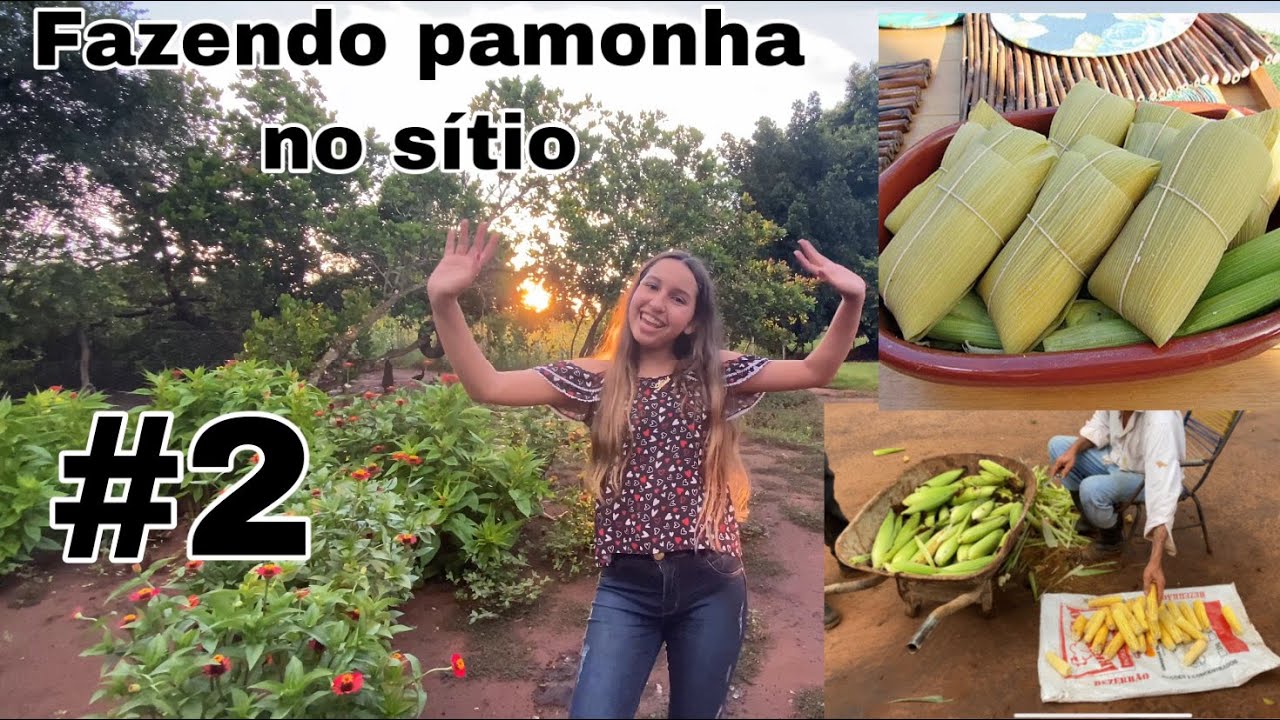 MAIS UM DIA NA CHACARA FAZENDO PAMONHA,BUSCANDO GOIABA E COMPRANDO QUEIJO CAIPIRA