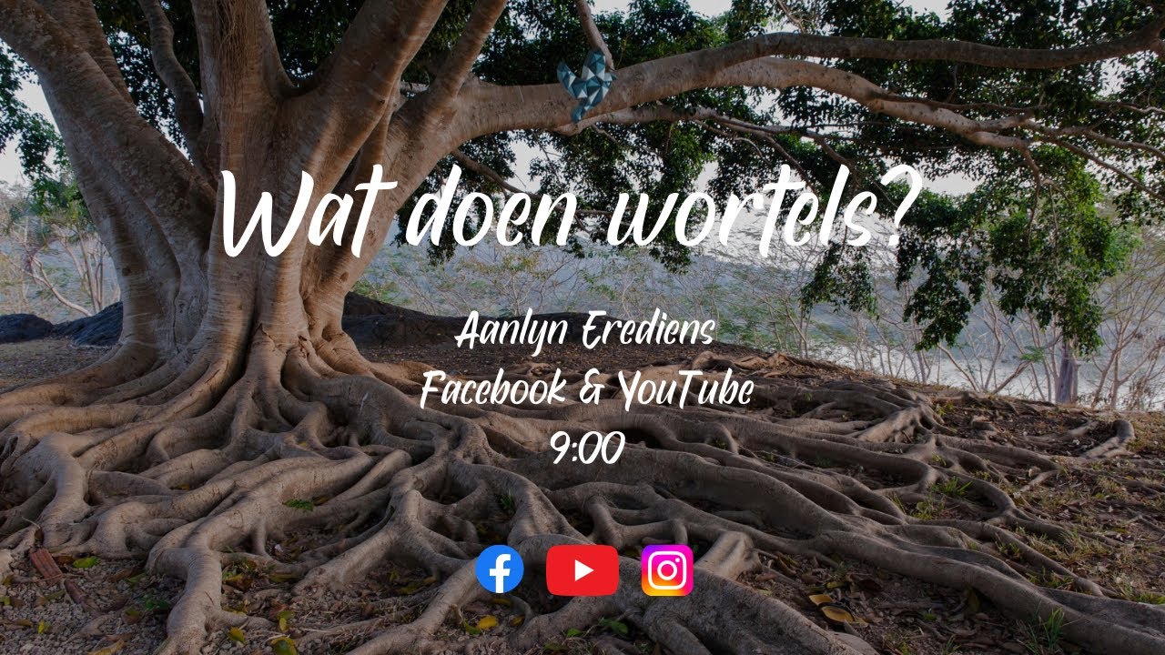 Handelinge Aanlyn | Wat doen wortels? | Madelie