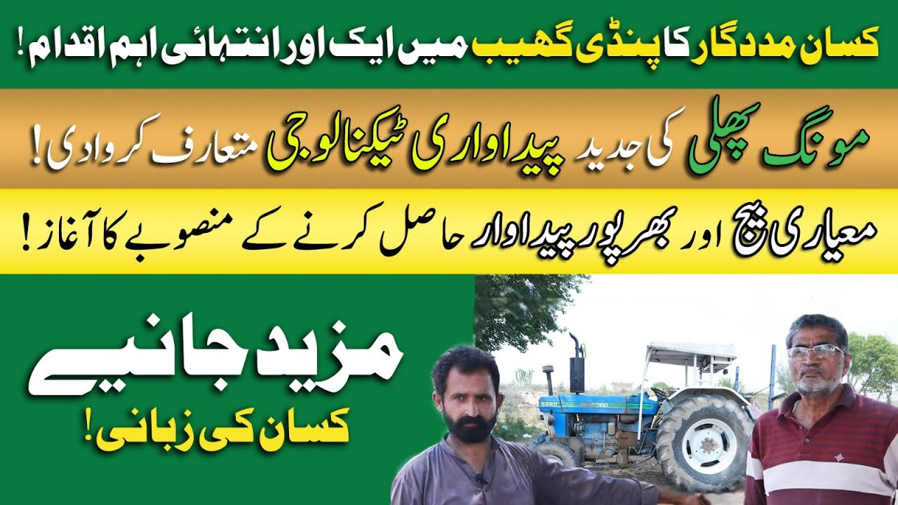 Moong Phali Ki Jadeed Kasht 2024 | Production Technology of Peanut crop | BARI 16 & ATTOCK 19