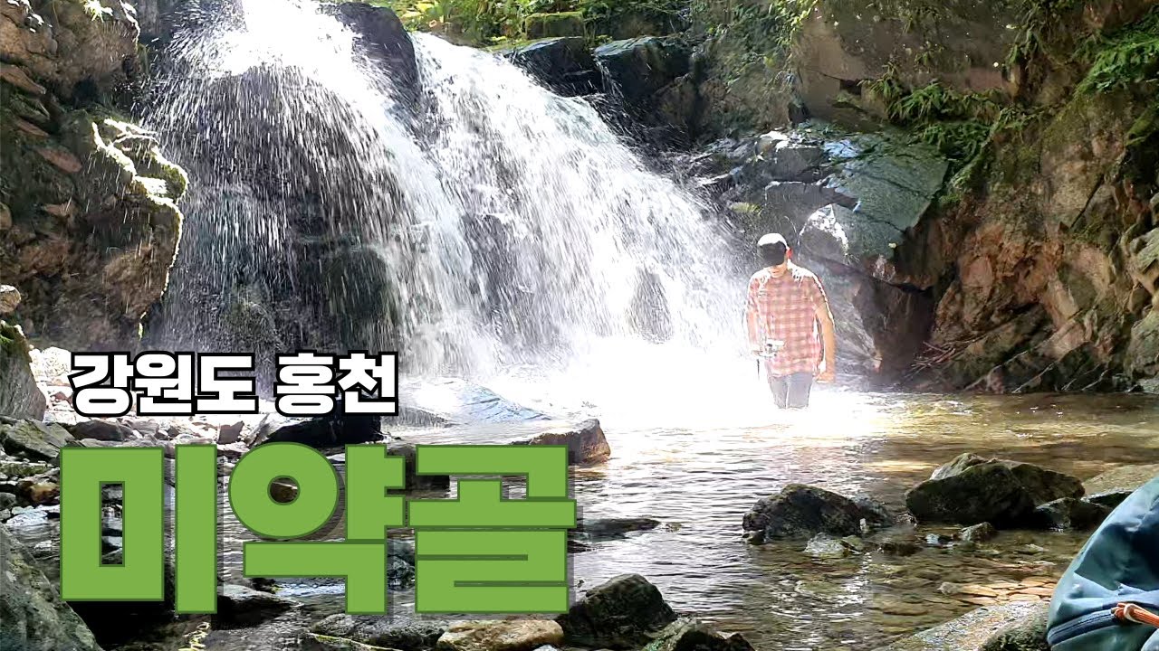 나홀로 즐긴 미약골 트레킹 _ 여름에 걷기 좋은 시원하고 아름다운 계곡 