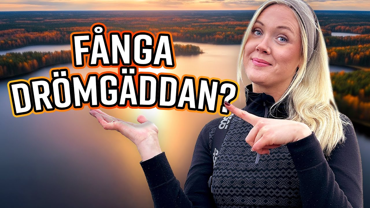 Kan vi f&aring;nga DR&Ouml;MG&Auml;DDAN med DESSA TIPS?