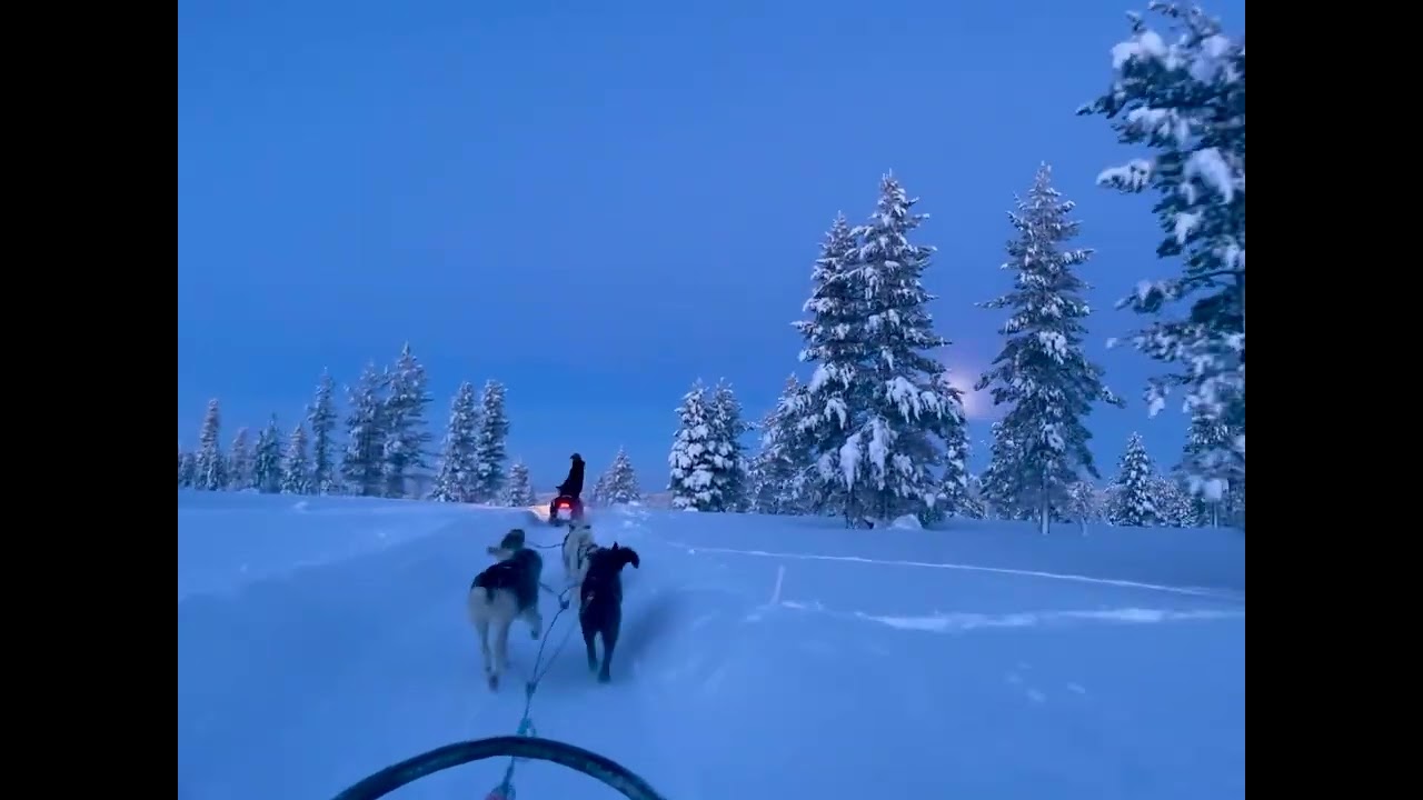Sledding through Lapland, Inventia from Rashit B. 🇫🇮