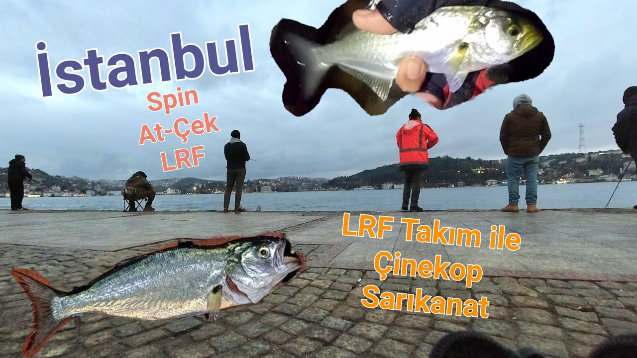 LRF TAKIM ile DİŞLİ AVI - ÇİNEKOP | SARIKANAT - İSTANBUL BOĞAZI