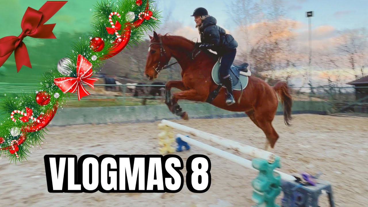 ❄️VLOGMAS 8 ❄️ SKACZĘ NASZEGO PIERWSZEGO OKSERA 🫣🐴