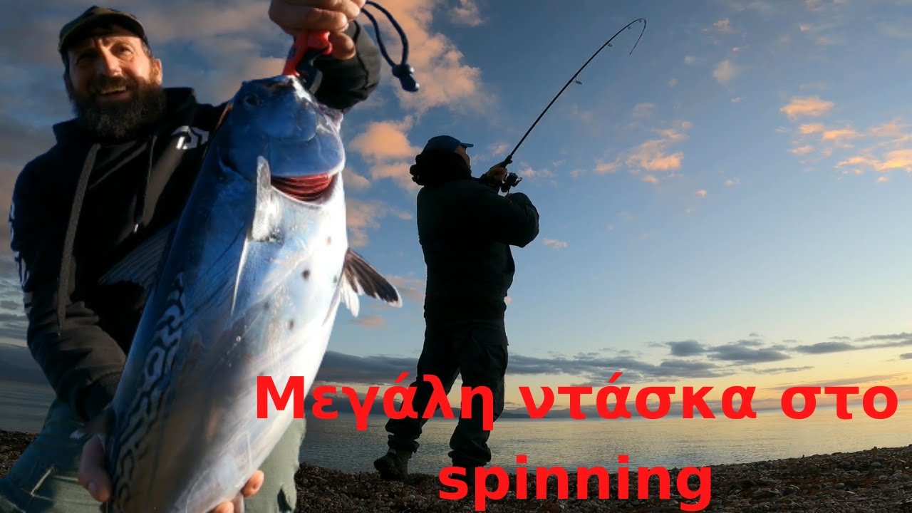 Μεγάλη  ντάσκα με spinning !! Ενα ψάρεμα που τα είχε όλα!!! Big albacore fishing!