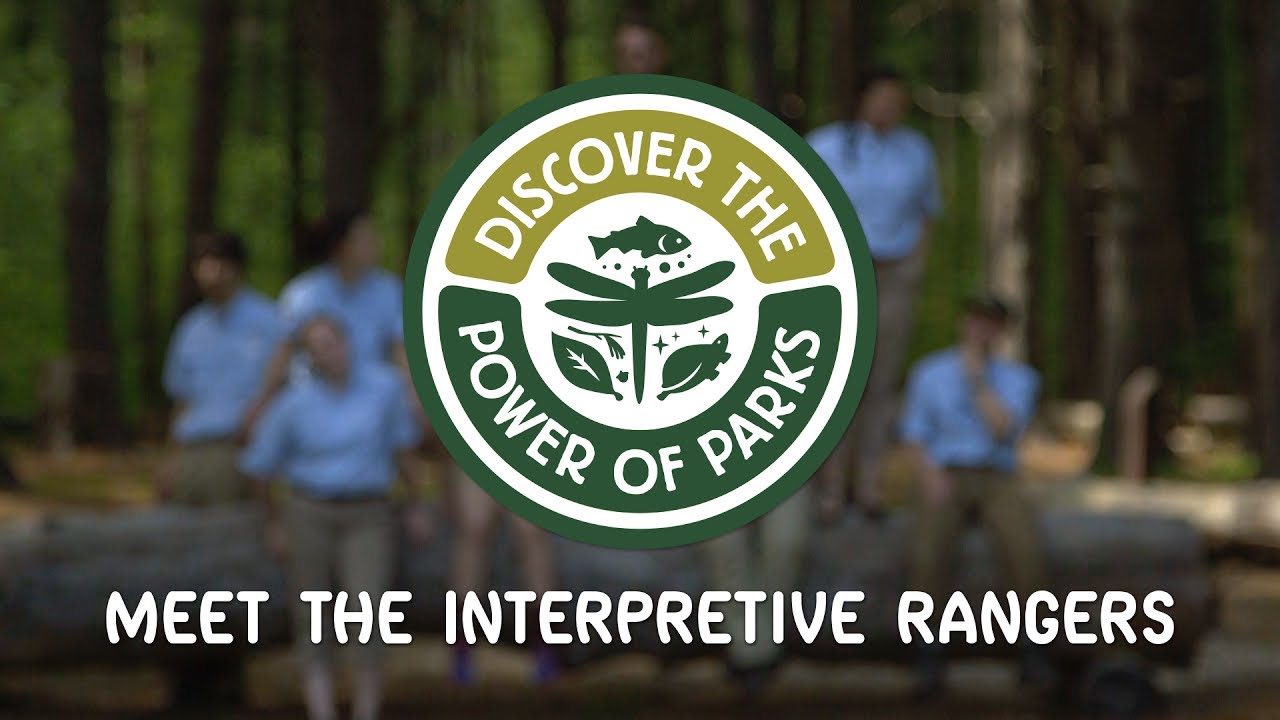 How Do You Discover the Power of Parks?