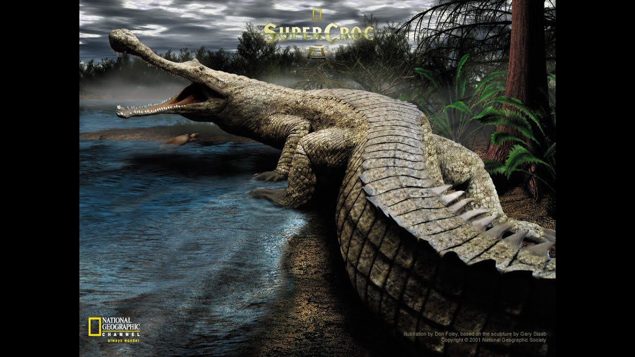 O SUPERCROC