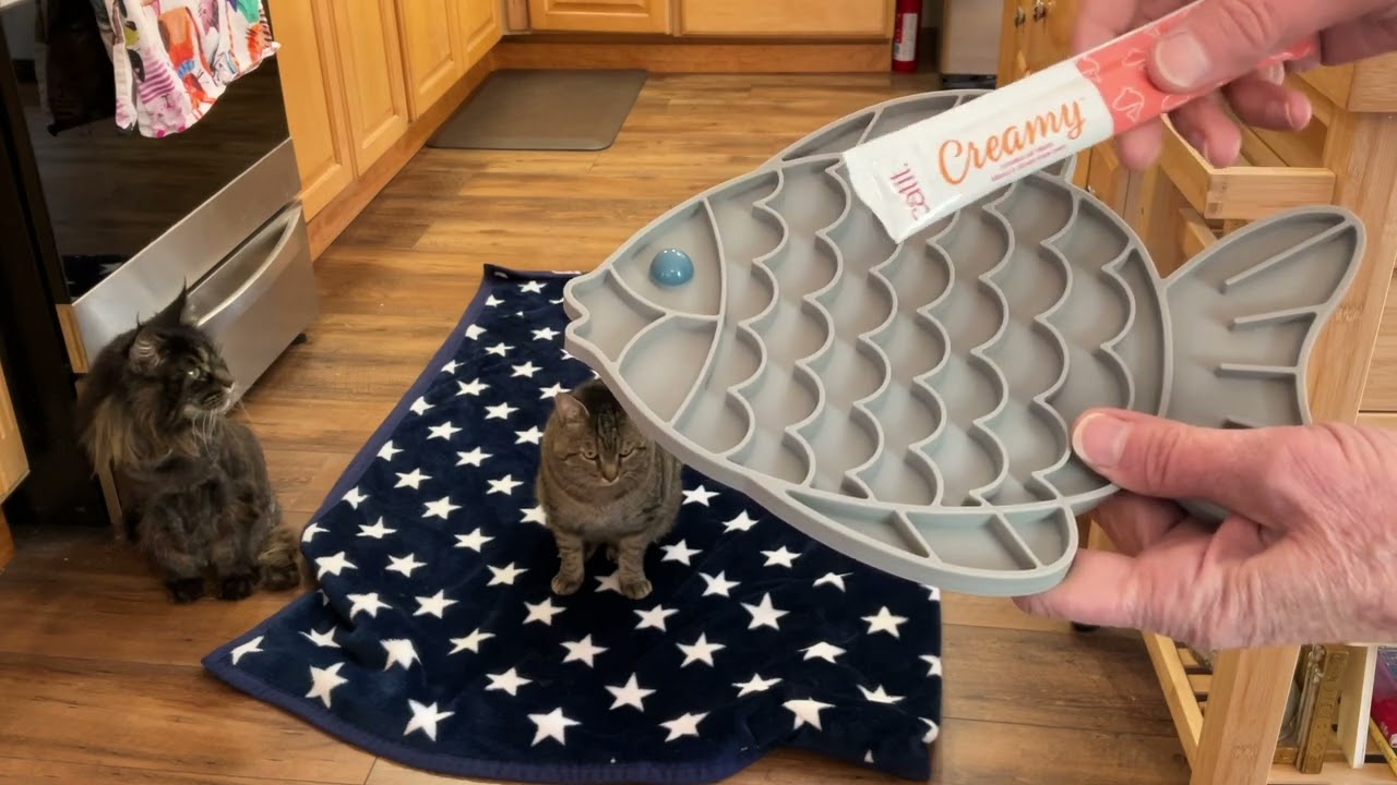 Cats&nbsp;not&nbsp;getting&nbsp;along? Teach calmness with toys and treats