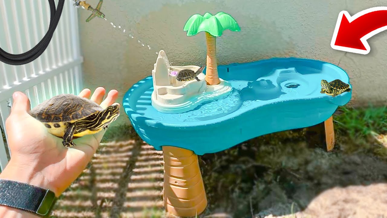 PARQUE AQUÁTICO para MINHAS TARTARUGAS