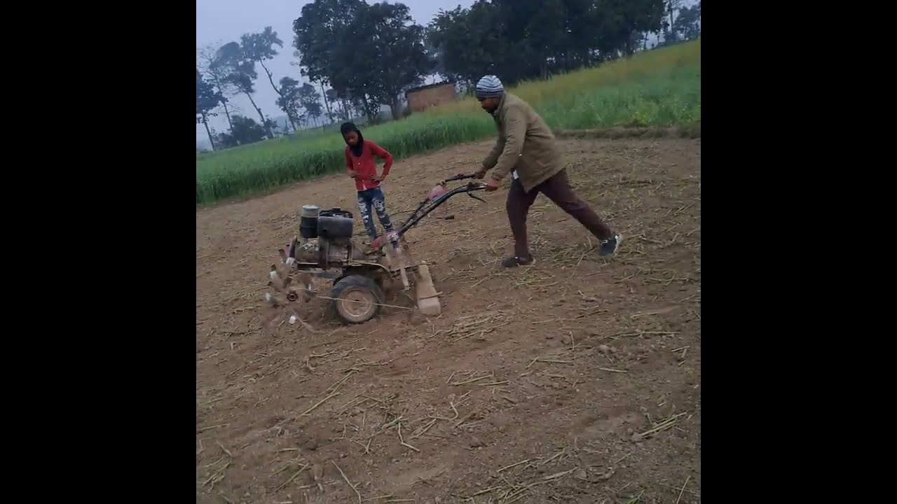 VST power tiller se khet ko barabar krte hua #minitractor #bcspowertiller #farmequipment #farmmachin