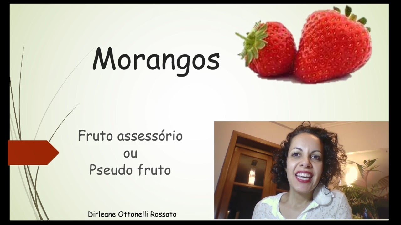 Morangos - Aspectos biológicos desse fruto agregado