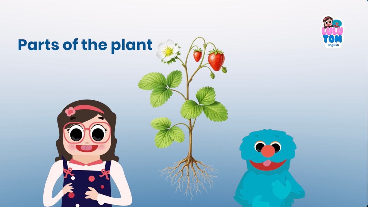 Parts of the Plant | English | LuluTom 🌱