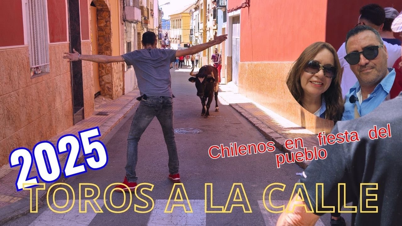 Toros en la calle , (Bous al carrer ) #sociosdevida