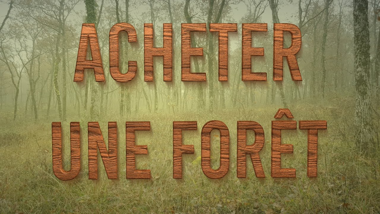 Acheter une forêt comme terrain de loisirs