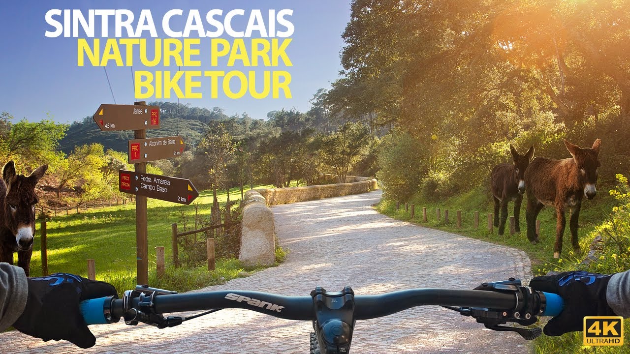 Cascais - Sintra Nature Park Virtual Bike Tour (30min from Lisbon Portugal) 4K Ultra HD