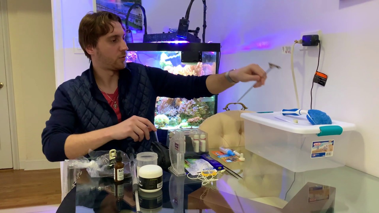 10 Полезных Вещей Для Морского Аквариума