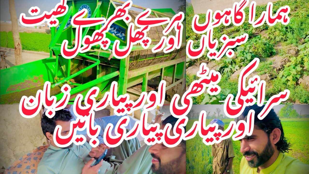 ہمارا گاہوں ہرے بھرے کھیت سبزیاں اورپھلُ پھول سرائیکی میٹھی اورپیای زبان اور پیاری پیاری باتیں 