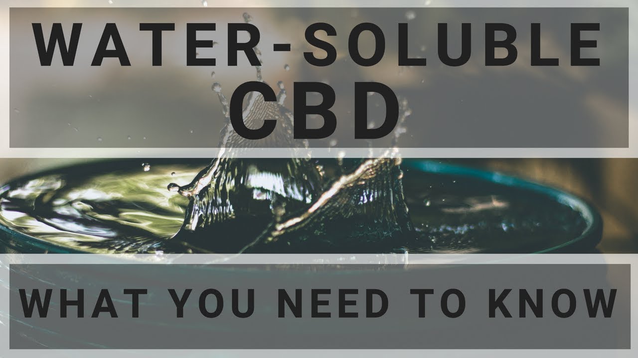 Water Soluble CBD! What you need to know.