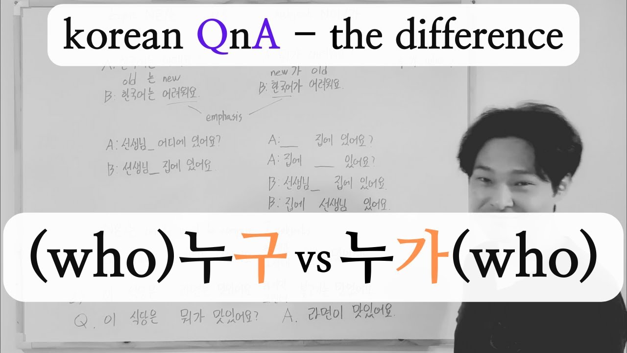 the difference 누구 vs 누가
