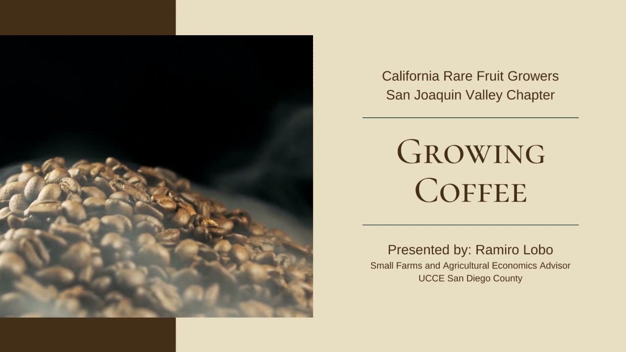 Growing Coffee with speaker Ramiro Lobo, San Joaquin Valley Chapter, California Rare Fruit Growers