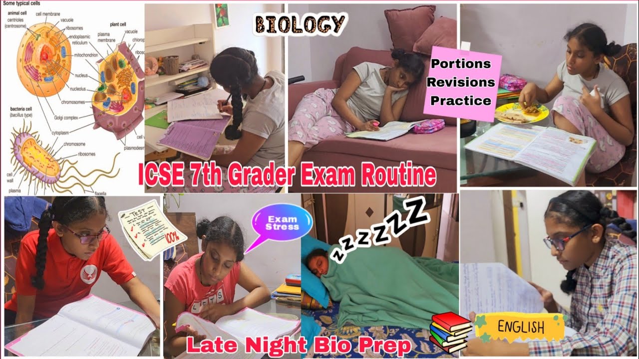 Star Exam Study Routine📖✍️*ICSE 7th Grader* BIOLOGY/ENGLISH Exam Prep📚Pulling an All Night to Study😫