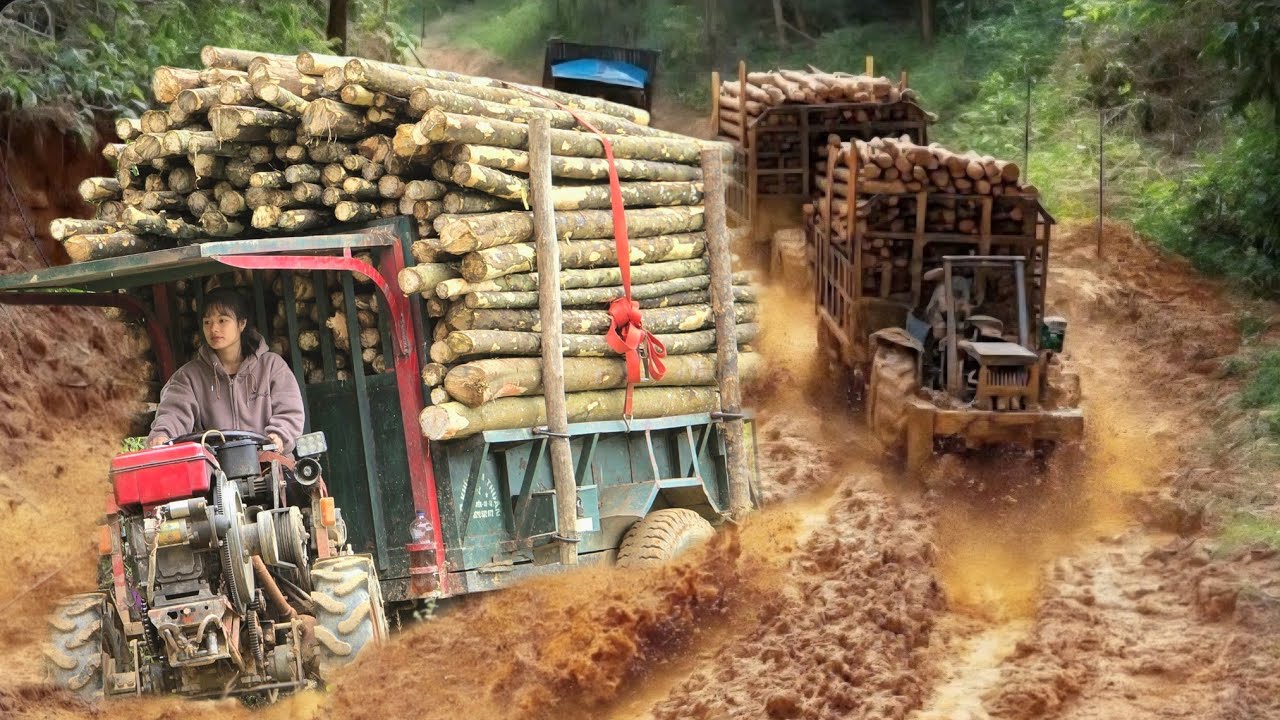 Agricultural vehicle, girl transporting wood navigates dangerous muddy roads #wood #truck #chainsaw