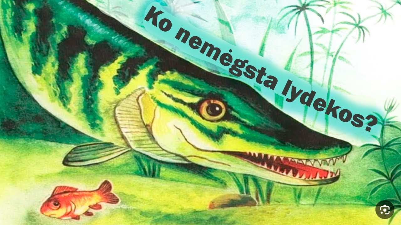 Darydami &scaron;iuos dalykus niekada nesugausite lydekos! Ko &scaron;i žuvis nemėgsta?