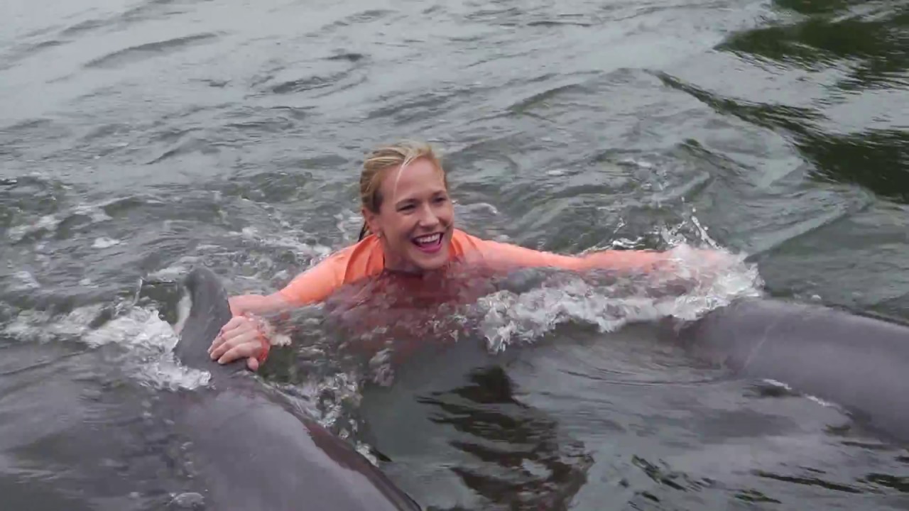 Dolphin Research Center - Florida Keys