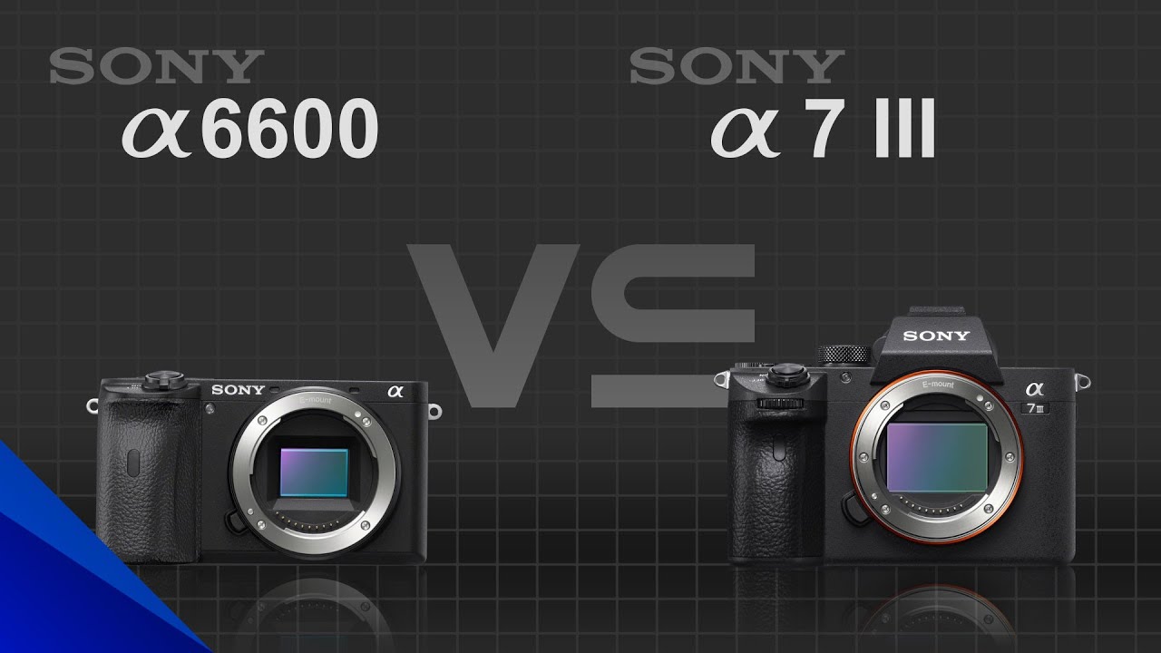 Sony alpha a6600 vs Sony alpha a7 III