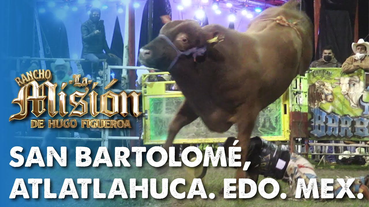 ¡Una Noche Mágica Con Los Toros Bárbaros En San Bartolomé!