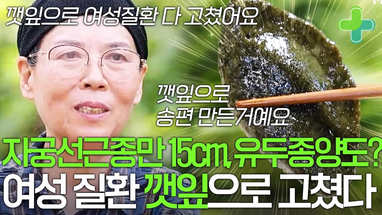 자궁선근종 크기만 15cm, 유두 종양까지? 망가진 여성 건강 깻잎으로 고쳤다!