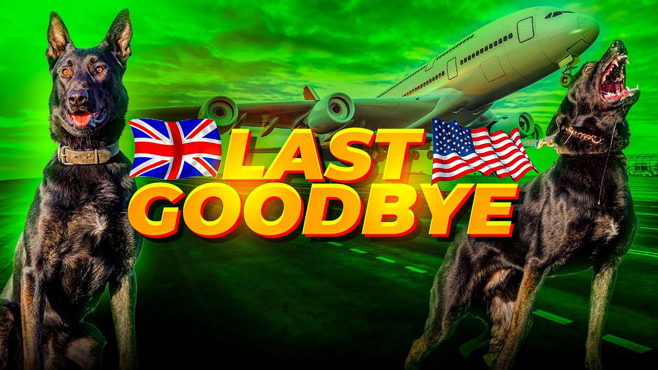 Final Health Checks Before Last Goodbye