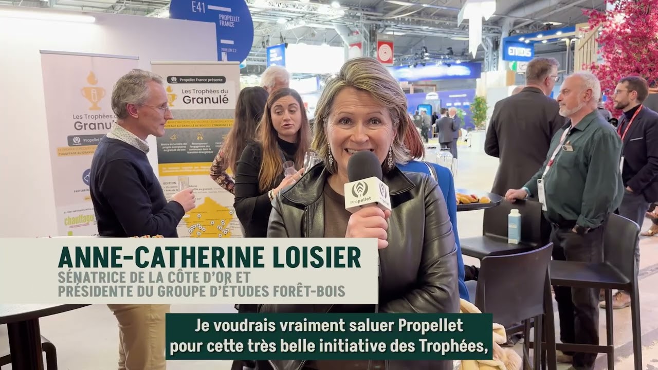 Chaufferies au granulé : des communes récompensées aux Trophées du Granulé 2025