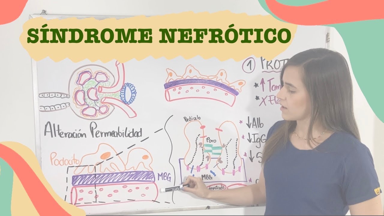 Fisiopatología del síndrome nefrótico - parte 1