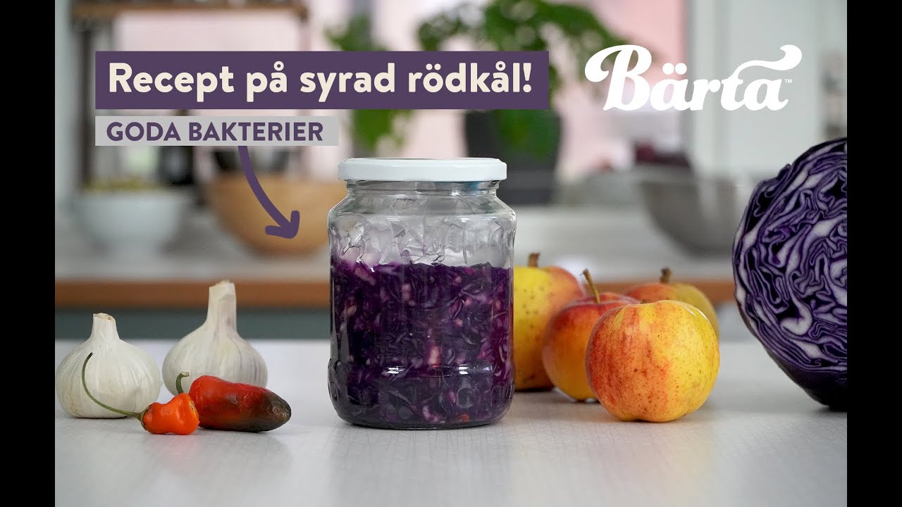 Gör egen surkål - SYRAD RÖDKÅL
