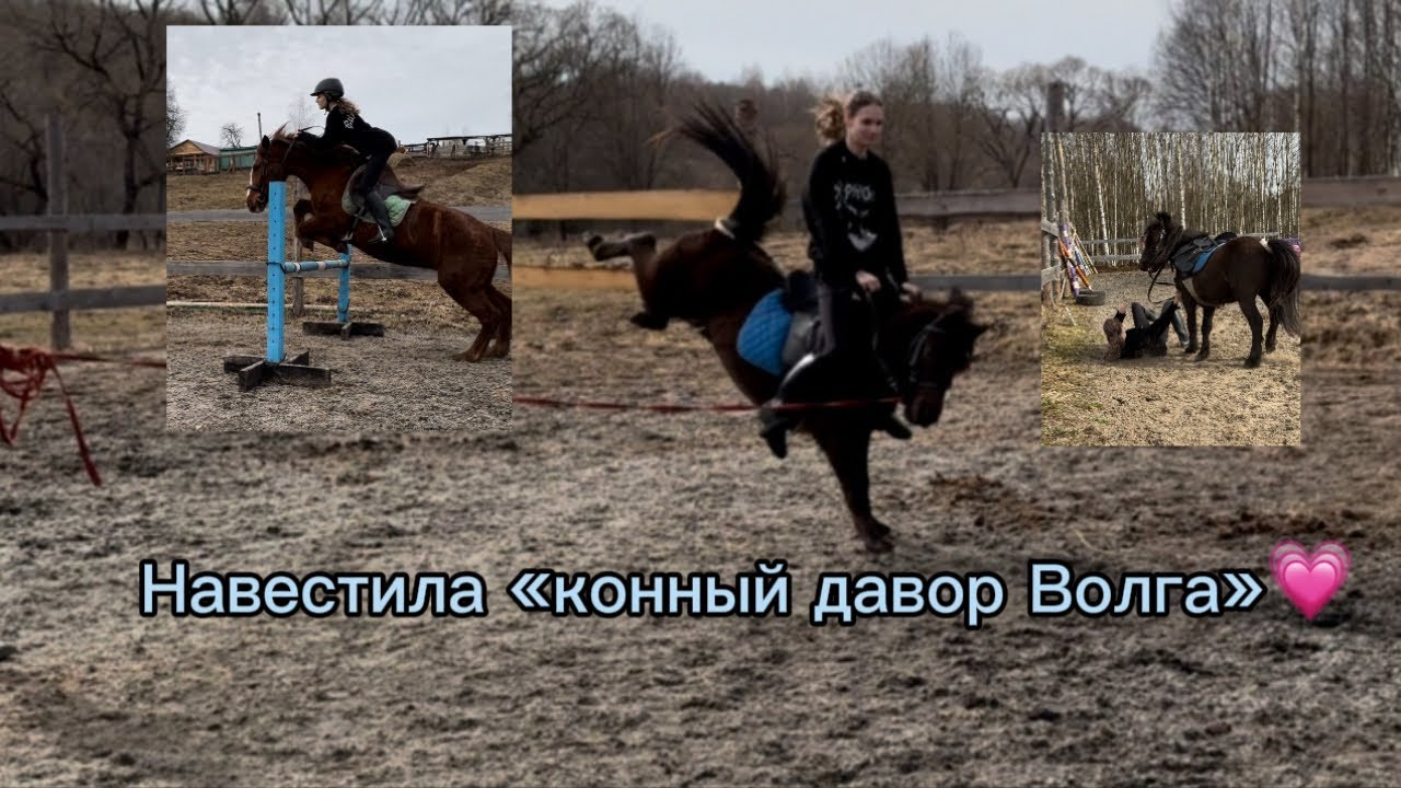 Влог в «Конный Двор Волга»💗